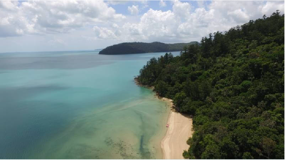 Aerial drone image of Sawmill Beach, Whitsundays.