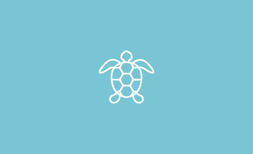 Turtle icon with blue background