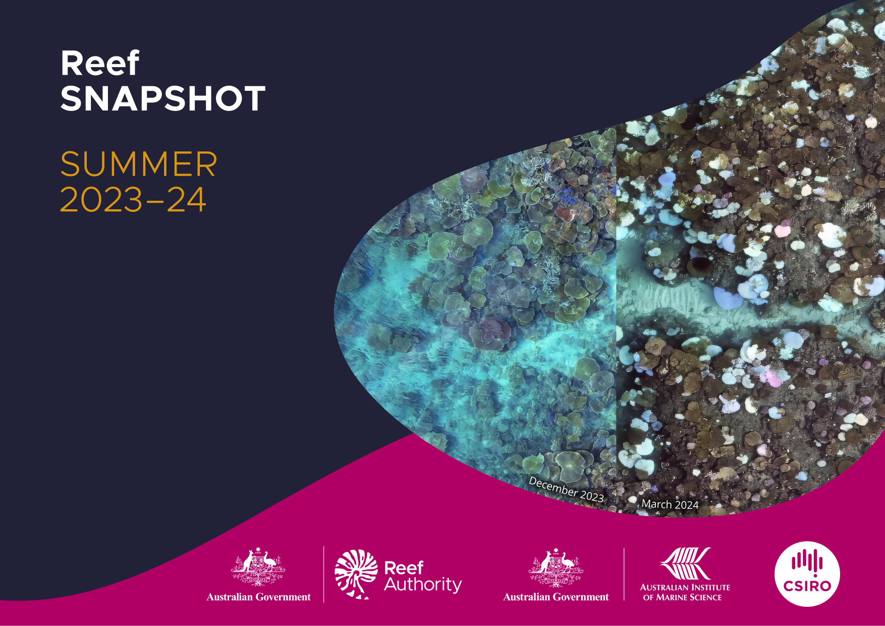 Reef Snapshot 2023-24 front cover of publication