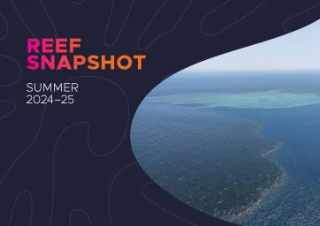 The front cover page of the Reef Snapshot: Summer 2024-25 publication. An aerial image of a flood plume on the ocean surface near a coral reef.