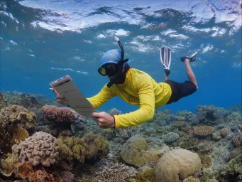 Underwater image of person snorkelling completing a survey
