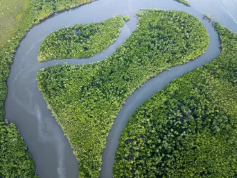 Aerial image of a coastal ecosystem of waterways and mangroves. (c) Commonwealth of Australia (Reef Authority), photographer B. Smith