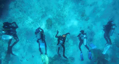 Underwater image of five divers