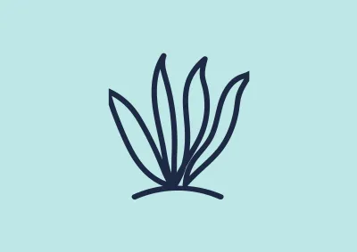 Seagrass