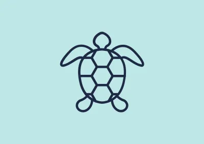 Turtle breeding and migration