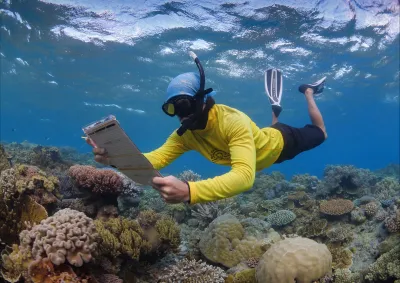 Underwater image of person snorkelling completing a survey