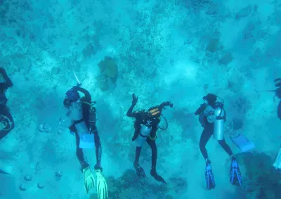 Underwater image of five divers