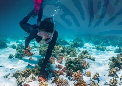 Image of front cover of Reef Authority Science Strategy