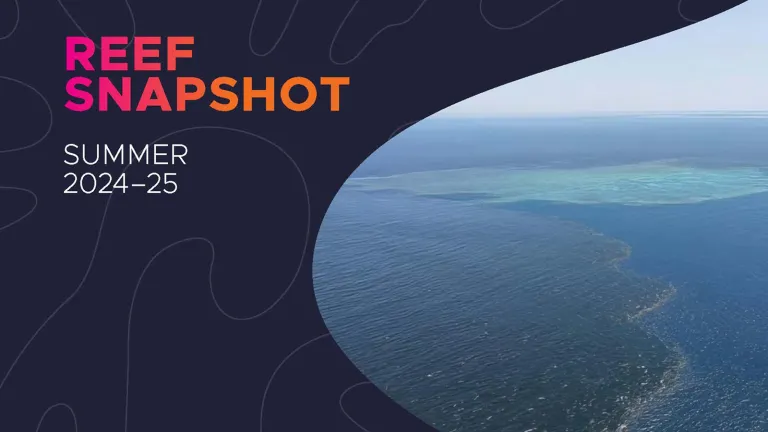 The front cover page of the Reef Snapshot: Summer 2024-25 publication. An aerial image of a flood plume on the ocean surface near a coral reef. 