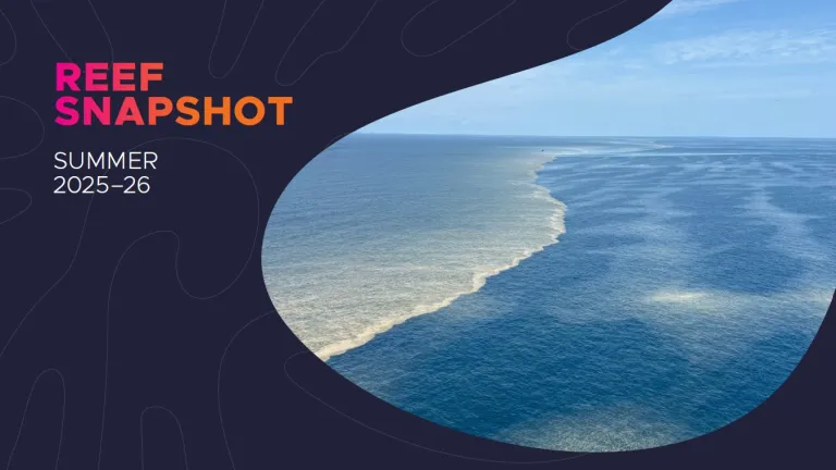 FINAL_ReefSnapshot_COVER_2526.jpg