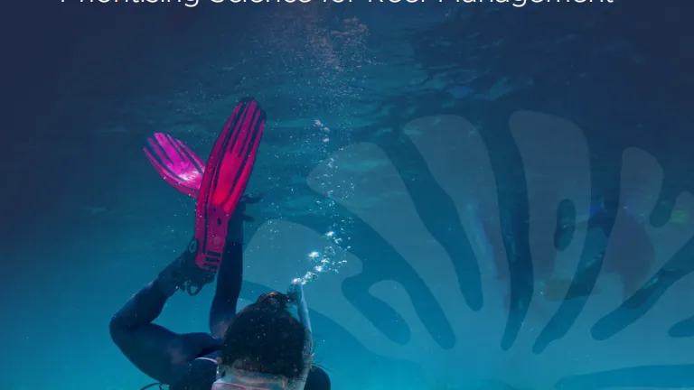 Image of front cover of Reef Authority Science Strategy