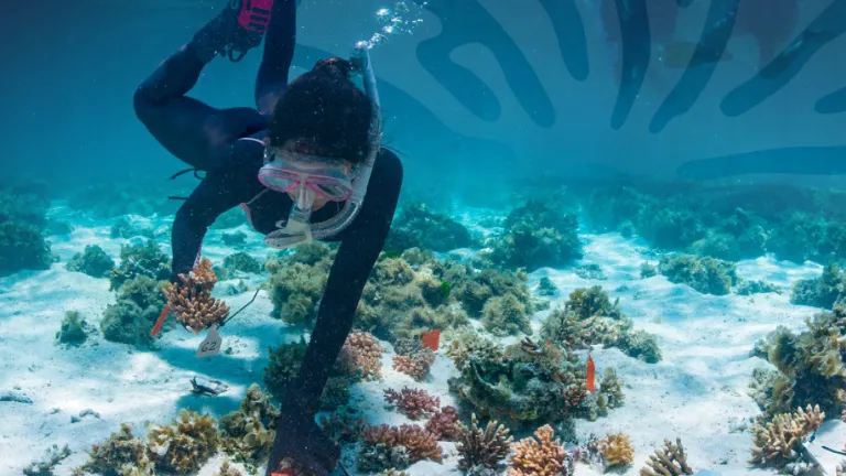 Image of front cover of Reef Authority Science Strategy
