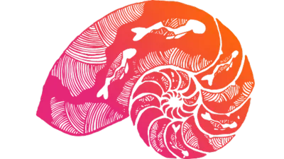 Nautilus Shell Artwork by Laurence Gibson