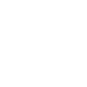 Map icon