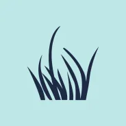 Grass