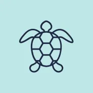 Turtle breeding and migration