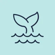 Whale tail