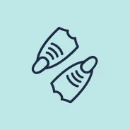 Flippers thumbnail